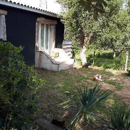 Casa Gattu-2
